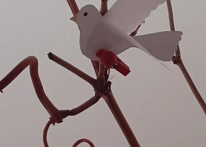 Ferienhaus Casa Murata Alta *